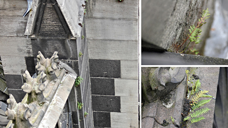 Eine Collage aus drei Fotos. Darauf sind einzelne Stellen des doms