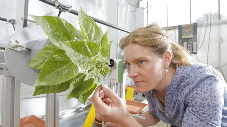 Eine junge Frau mit einer Pflanze in einem sich drehenden Blumentopf.