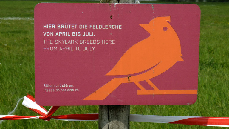 Hinweisschild Feldlerche