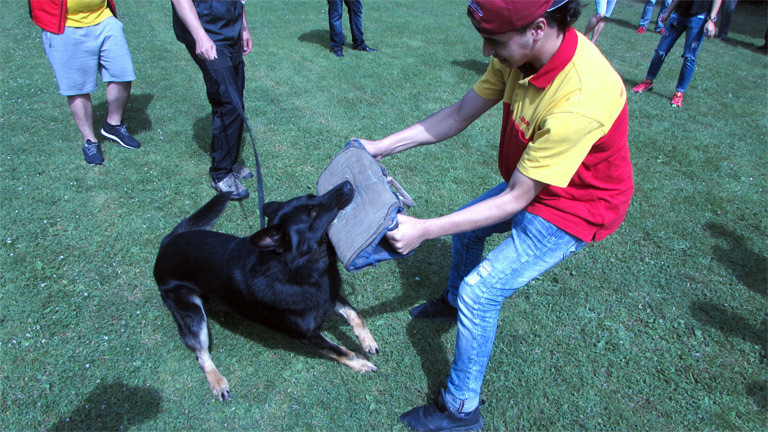Hundetraining für DHL-Auszubildende