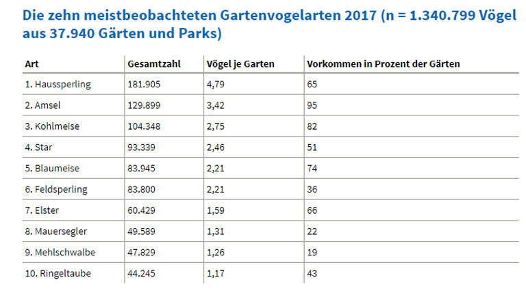 Top Ten der Gartenvögel 2017