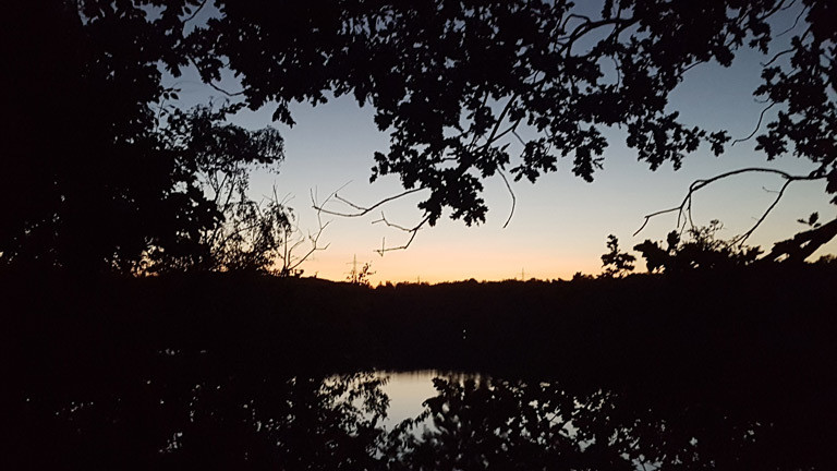Blick auf einen Waldsee bei einer Nachtwanderung.