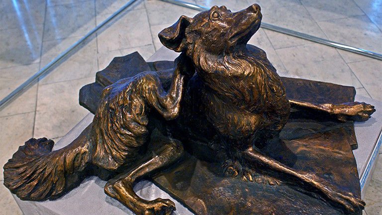 Denkmal für Straßenhunde in Moskau