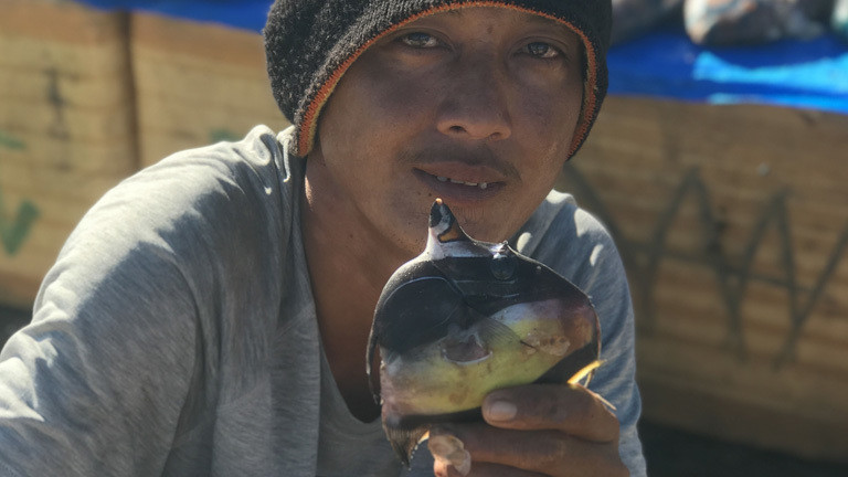 Ein Fischer zeigt einen Fisch, der mit Zyanid gefangen wurde.