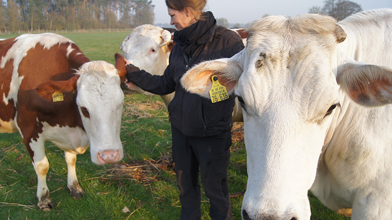 Anna Butz ist Veganerin. Und züchtet Rinder für den Schlachter. Astrid Wolf | Deutschlandfunk Nova