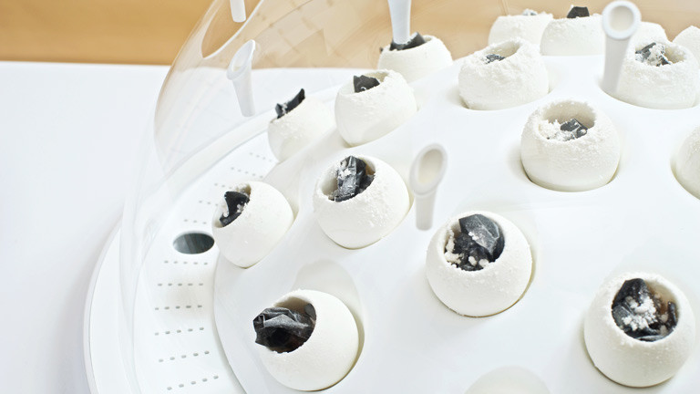 Fungi Mutarium bei der Ausstellung in Utrecht