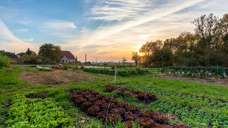 Öko-Bauernhof von Johannes und Laura in Mecklenburg-Vorpommern