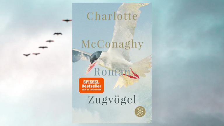 Cover des Buches "Zugvögel" von Charlotte McConaghy vor dem Hintergrund eines Fotos von Zugvögeln am Abedhimmel