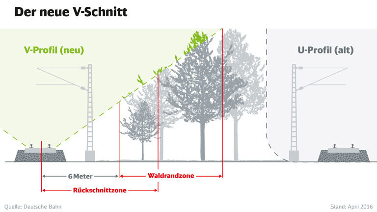 Grafik von der Deutschen Bahn, wie sie Bäume an Trassen beschneidet.