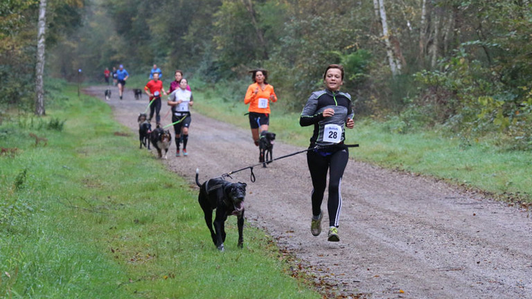 Anita Horn rennt beim Canicross