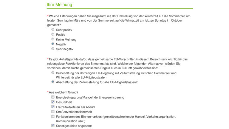 Auszug aus einem pdf der ausgefüllten Umfrage.