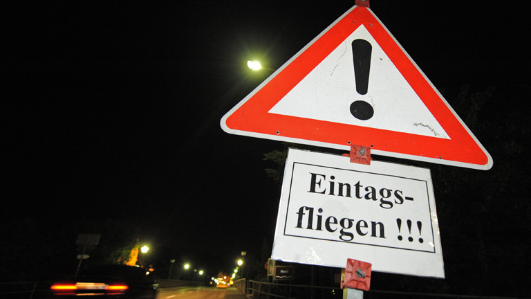 Schild mit Warnung vor Eintagsfliegen