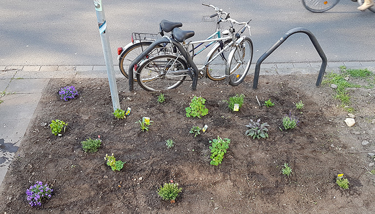 Das fertig bepflanzte Beet von Reporter Stephan Beuting