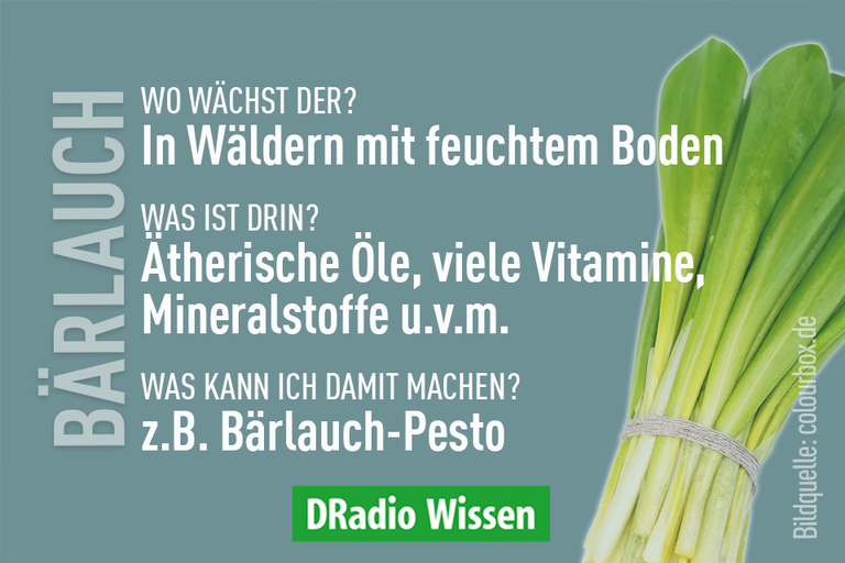 Bärlauch.