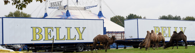 Das Hauptzelt des Zirkus Belly und der Eingang mit Kassenwagen sind am 19.10.2015 in Wunstorf in der Region Hannover (Niedersachsen) aufgebaut. Foto: Holger Hollemann/dpa