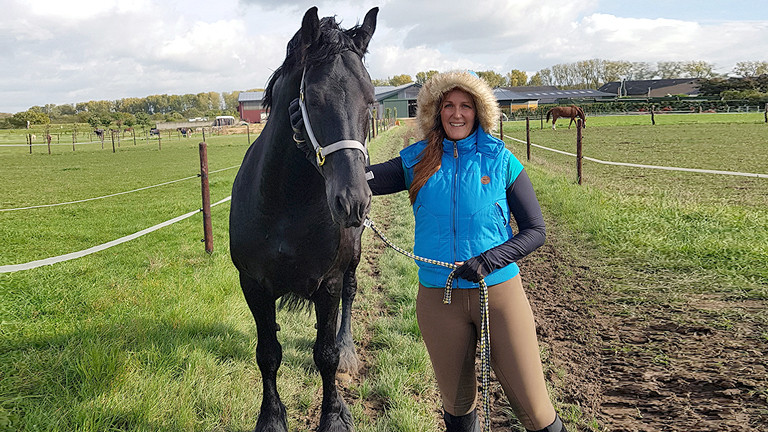Frau mit einem Pferd auf der Wiese.