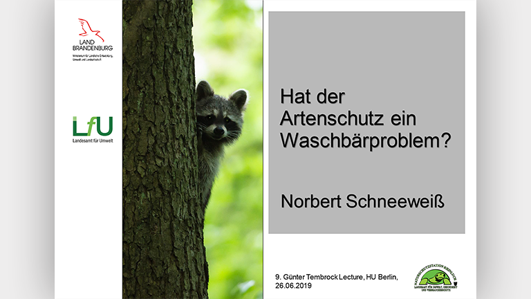 Waschbären als Artenschutzproblem - Vortragsfolie Norbert Schneeweiß