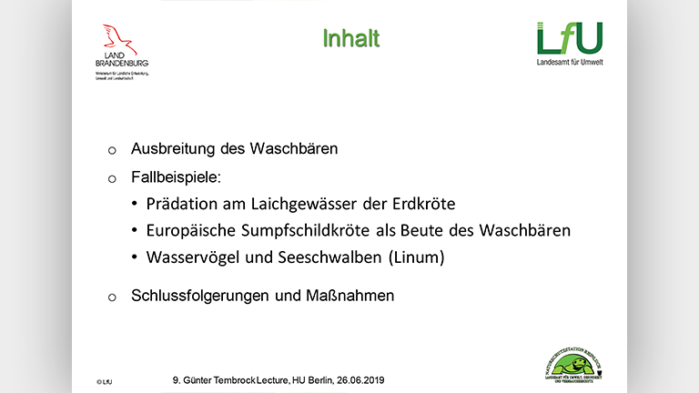 Waschbären als Artenschutzproblem - Vortragsfolie Norbert Schneeweiß