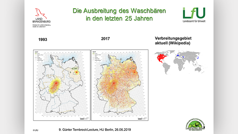 Waschbären als Artenschutzproblem - Vortragsfolie Norbert Schneeweiß