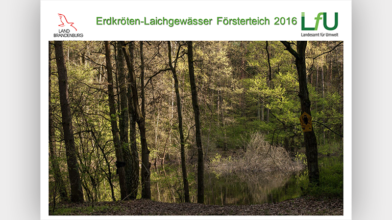 Waschbären als Artenschutzproblem - Vortragsfolie Norbert Schneeweiß