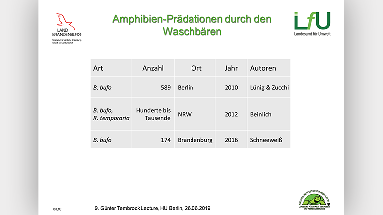 Waschbären als Artenschutzproblem - Vortragsfolie Norbert Schneeweiß