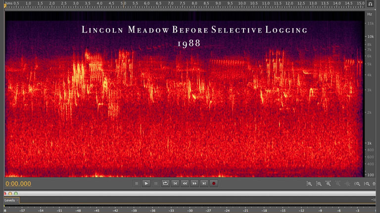 Digitale Darstellung von Sound.