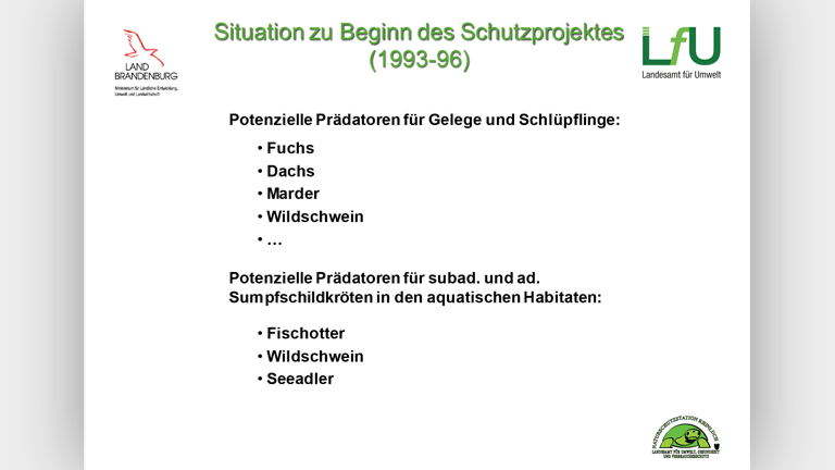 Waschbären als Artenschutzproblem - Vortragsfolie Norbert Schneeweiß