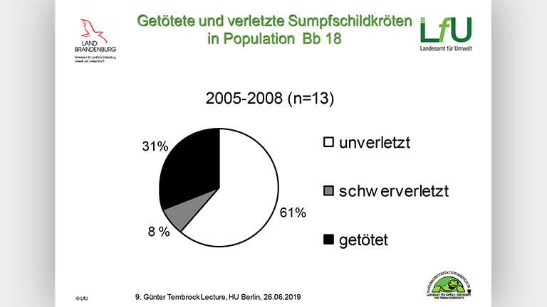 Waschbären als Artenschutzproblem - Vortragsfolie Norbert Schneeweiß