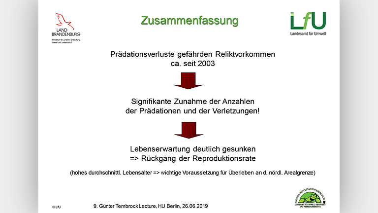 Waschbären als Artenschutzproblem - Vortragsfolie Norbert Schneeweiß