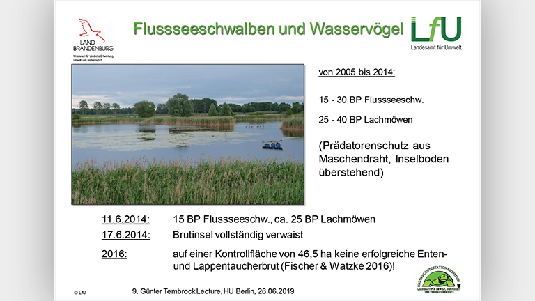 Waschbären als Artenschutzproblem - Vortragsfolie Norbert Schneeweiß