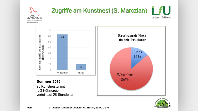 Waschbären als Artenschutzproblem - Vortragsfolie Norbert Schneeweiß
