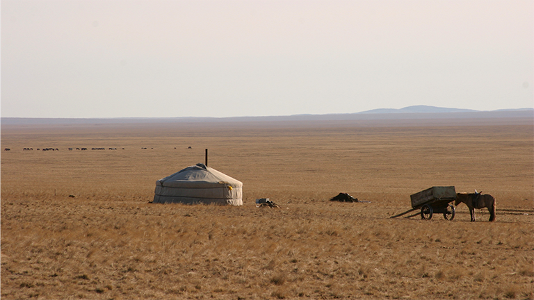 Nomadenjurte in der mongolischen Steppe