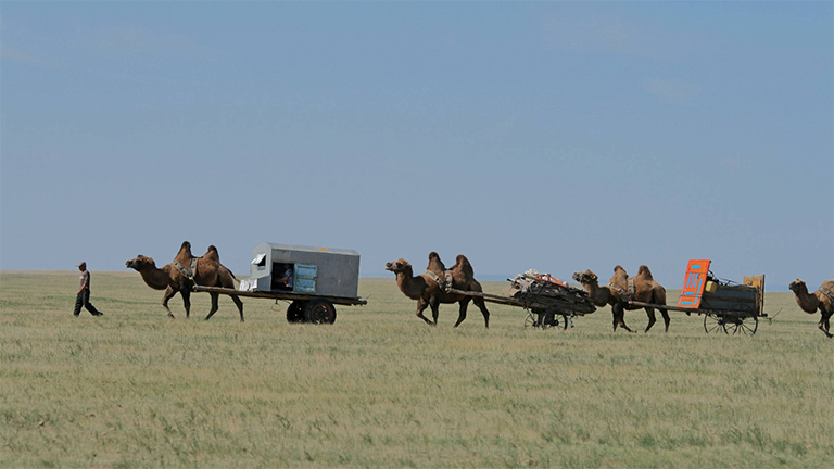 Nomaden wandern mit Kamelkarren durch die mongolische Steppe