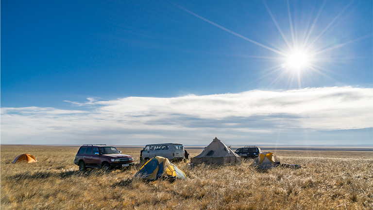 Wissenschaftler-Camp in der mongolischen Steppe