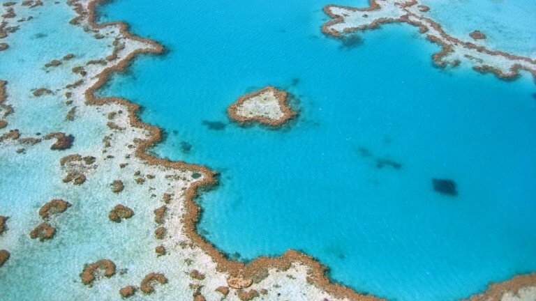 Ein Teil des Korallenriffs im Great Barrier Reef vor Australien. Fotografiert aus der Luft.