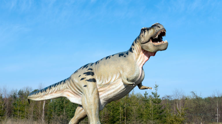 Ein Modell eines Tyrannosaurus Rex vor blauem Himmel.