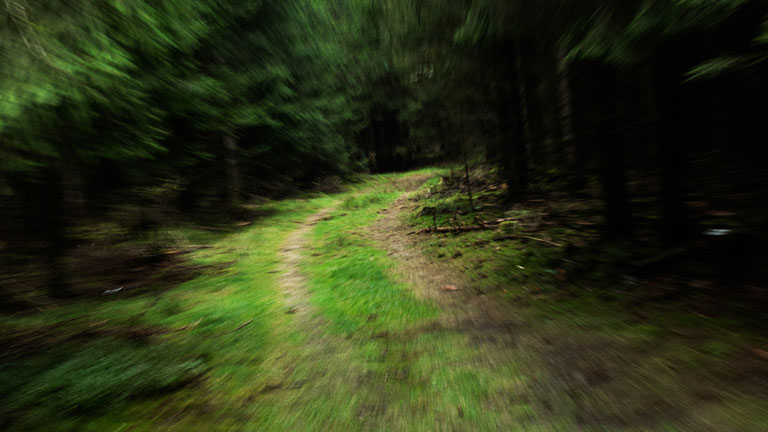 Waldweg in der Nähe des Leichenfundorts