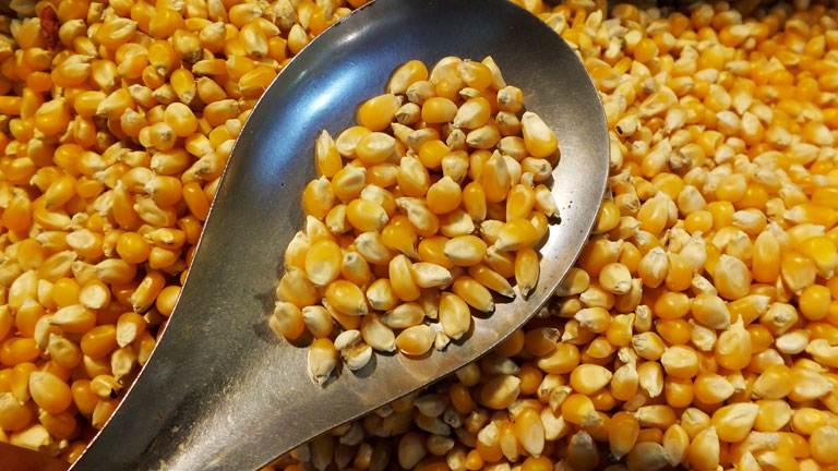 Ein Löffel mit Mais