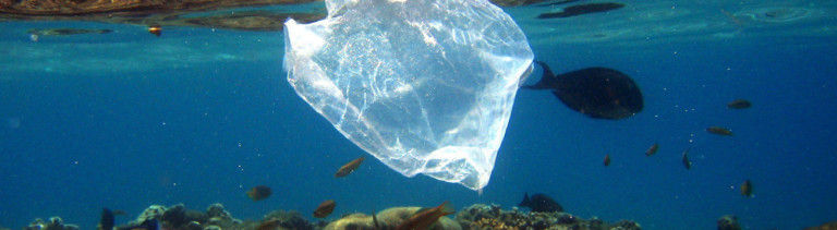 Eine Plastiktüte treibt im Meer