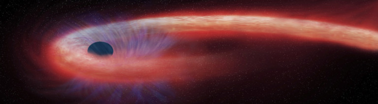 Diese von der NASA bereitgestellte künstlerische Darstellung zeigt einen Stern, der von einem schwarzen Loch geschluckt wird und dabei einen Schweif aus Röntgenstrahlen, dargestellt in rot, abgibt.