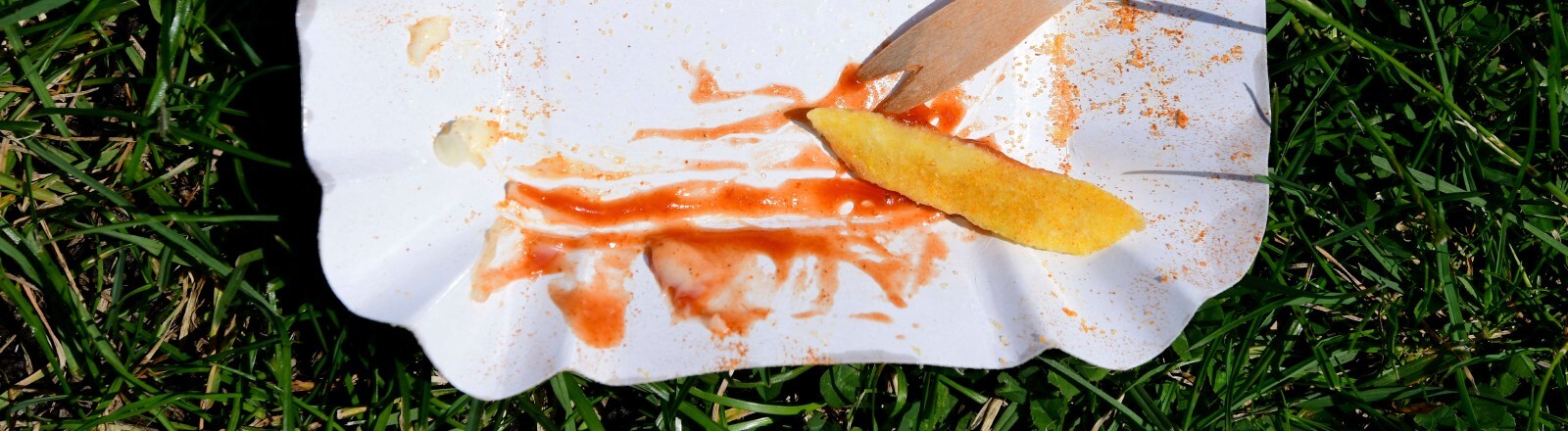 Auf einer Wiese liegt eine Pappschale, in der Pommes waren. Es ist nur noch eine Pommes übrig, zusammen mit Ketchup-Resten und einer kleinen Holzgabel.