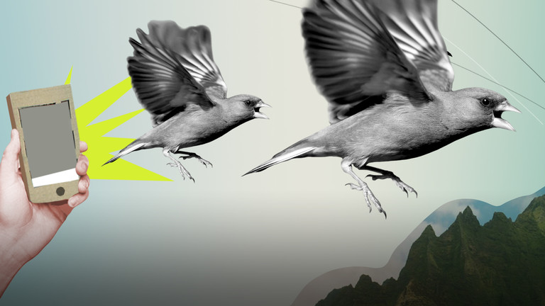 Bangkoks Full Name Is The Longest City Placename In The Bangkoks Full Name Is The Longest City Placename In The