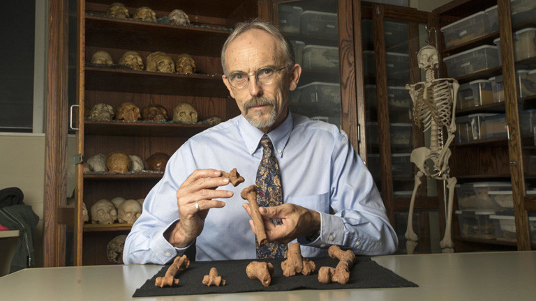 John Kappelman hat die fossilen Überreste von Lucy untersucht. Er sitzt an seinem Schreibtisch und hält 3D-Drucke von Lucys Knochen in den Händen; Foto: dpa