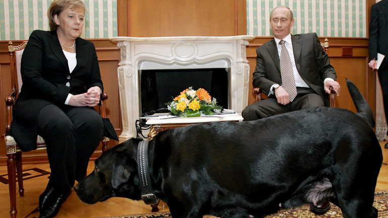 Wladimir Putin und Angela Merkel im Hintergrund, im Vordergrund Putins Labrador Koni.