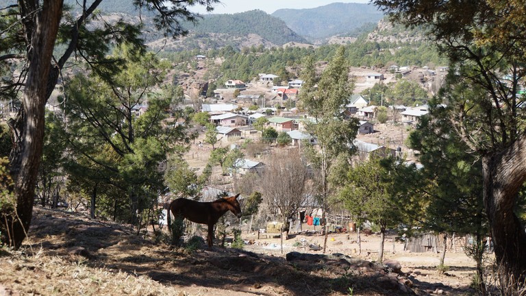 Blick auf ein Narco-Dorf im Norden Mexikos