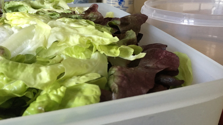 Salat