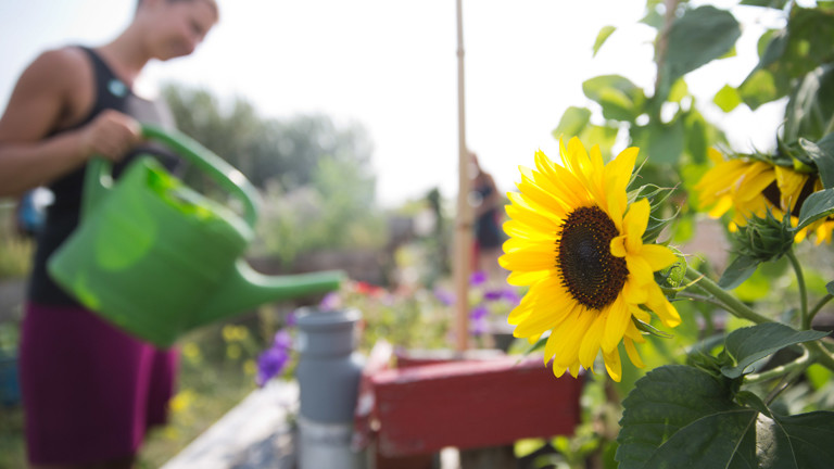 Eine Frau gießt Blumen im Garten