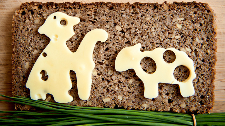 Auf einem Butterbrot liegt eine Scheibe Käse in der Form eines Schafs