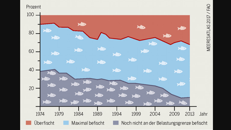 Grafik zeigt die Überfischung der Meere