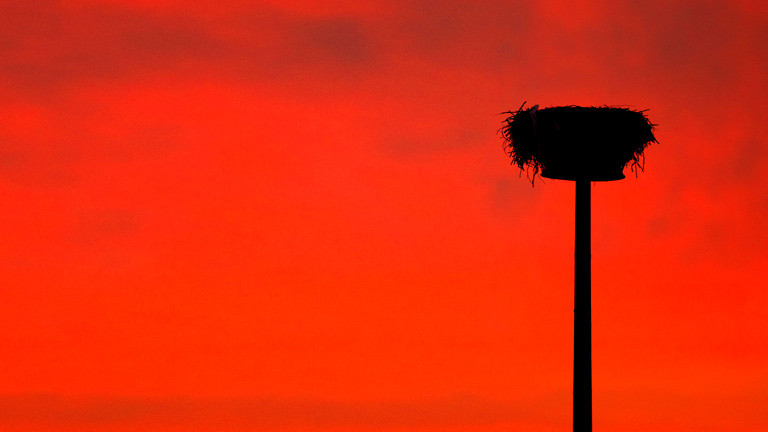 Ein leeres Storchennest vor Abendhimmel.
